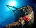   red sea wreck. wreck  